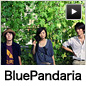 BluePandaria